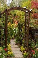 Пергола садовая из дерева 0024